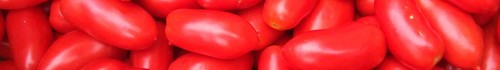Image symbolique: tomates